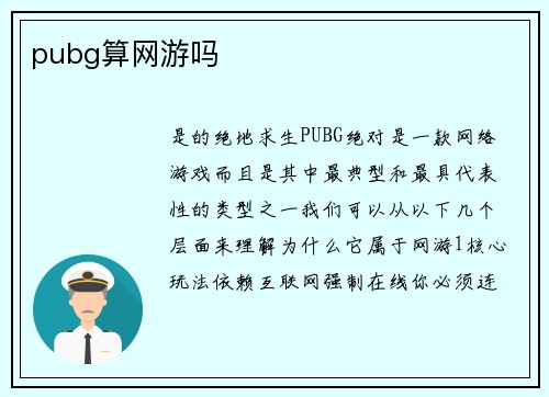 pubg算网游吗